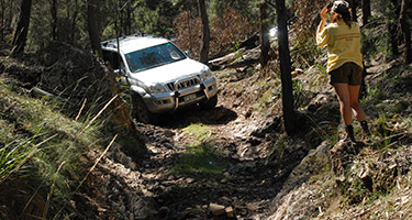 4wd vehicle sustainability for membership