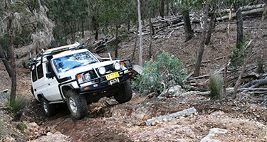4wd driver training certificate
